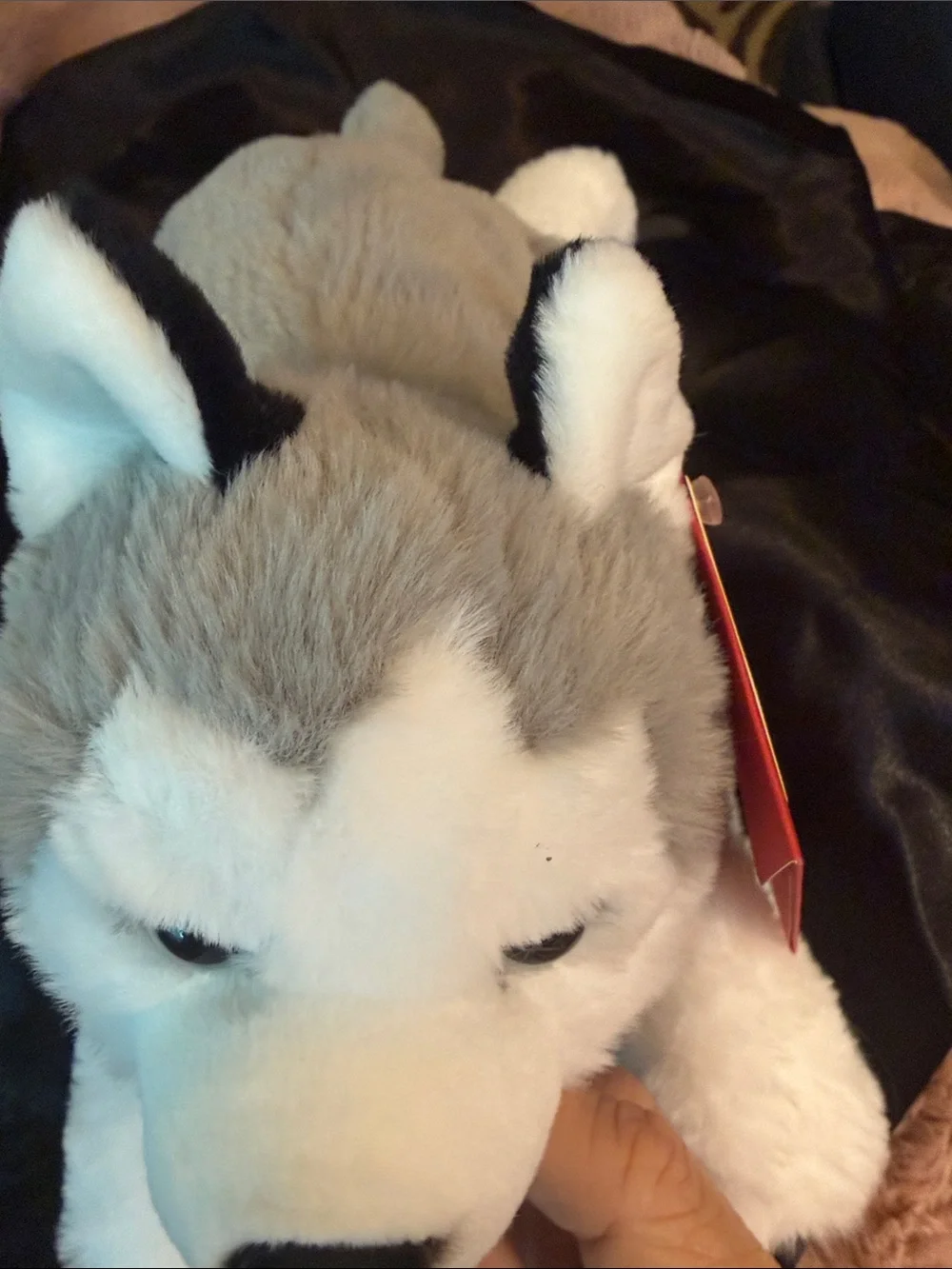 FAO Schwarz Gray & White Husky Plush - Adopt A Pets Tag - Picture 3 of 4